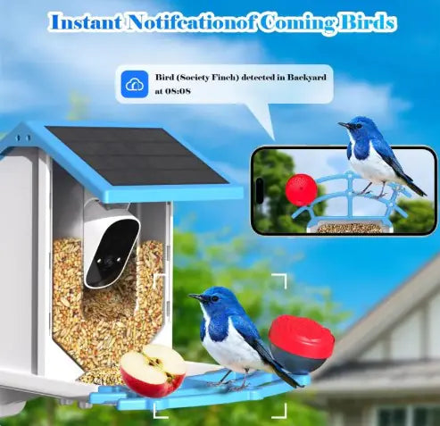 Bird Feeder Solar With Camera