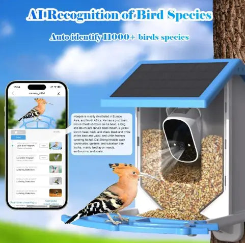 Bird Feeder Solar With Camera