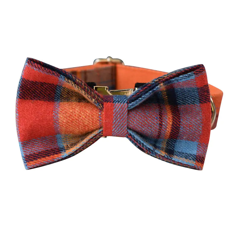 Orange Velvet Dog Collar with Rope - Pet Supplies